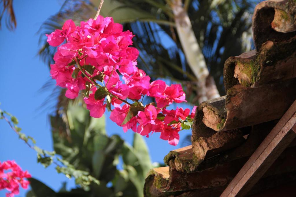 Pousada Do Cais ปาราตี ภายนอก รูปภาพ